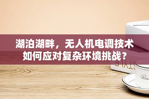 湖泊湖畔，无人机电调技术如何应对复杂环境挑战？