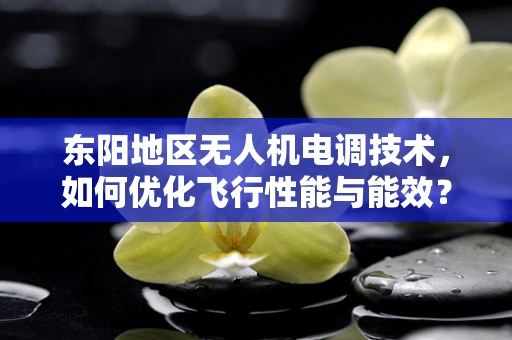 东阳地区无人机电调技术，如何优化飞行性能与能效？