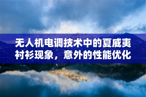 无人机电调技术中的夏威夷衬衫现象，意外的性能优化？
