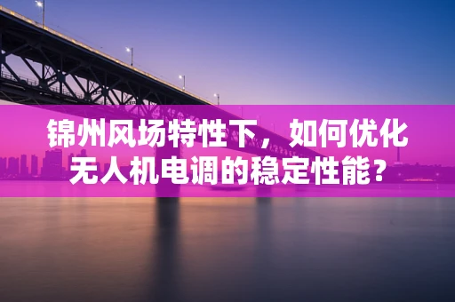 锦州风场特性下，如何优化无人机电调的稳定性能？