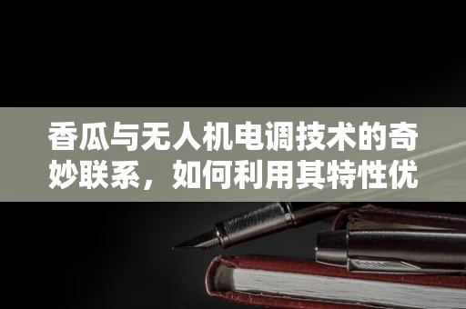 香瓜与无人机电调技术的奇妙联系，如何利用其特性优化飞行稳定性？