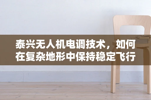 泰兴无人机电调技术，如何在复杂地形中保持稳定飞行？