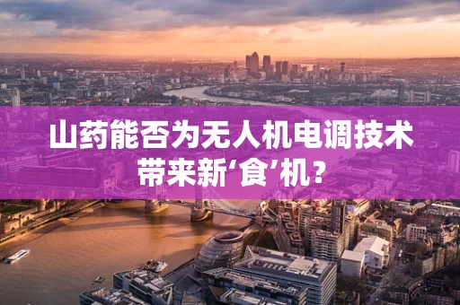 山药能否为无人机电调技术带来新‘食’机？