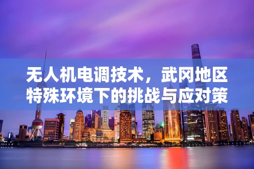 无人机电调技术，武冈地区特殊环境下的挑战与应对策略