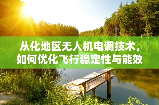 从化地区无人机电调技术，如何优化飞行稳定性与能效？