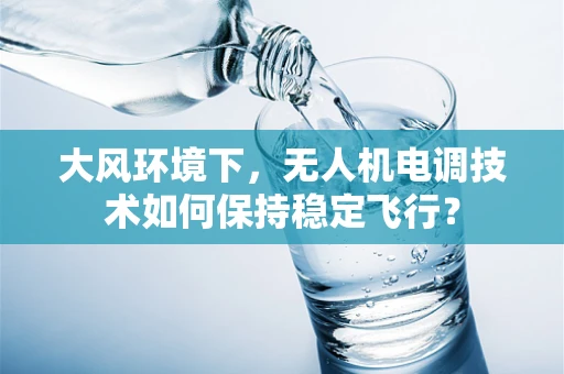 大风环境下，无人机电调技术如何保持稳定飞行？