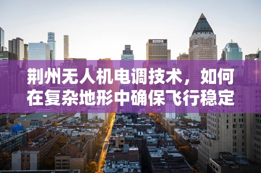 荆州无人机电调技术，如何在复杂地形中确保飞行稳定？