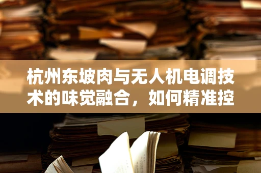 杭州东坡肉与无人机电调技术的味觉融合，如何精准控制烹饪环境以优化无人机飞行性能？
