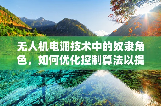 无人机电调技术中的奴隶角色，如何优化控制算法以提升系统响应性？
