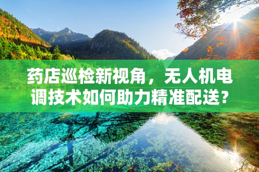 药店巡检新视角，无人机电调技术如何助力精准配送？