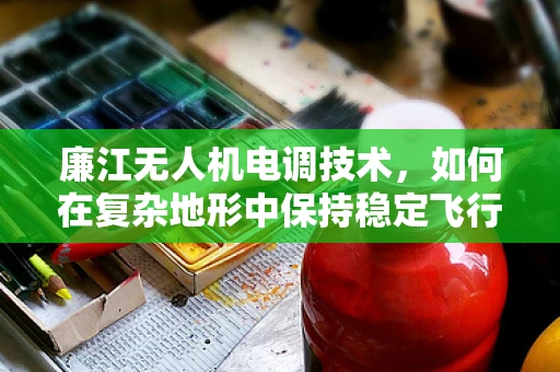 廉江无人机电调技术，如何在复杂地形中保持稳定飞行？