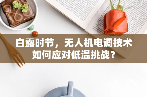 白露时节，无人机电调技术如何应对低温挑战？