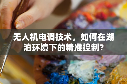 无人机电调技术，如何在湖泊环境下的精准控制？