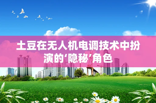 土豆在无人机电调技术中扮演的‘隐秘’角色