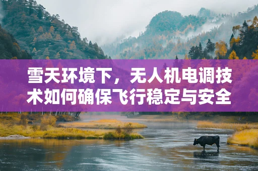 雪天环境下，无人机电调技术如何确保飞行稳定与安全？