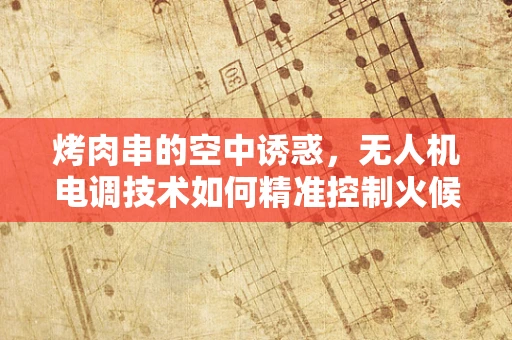 烤肉串的空中诱惑，无人机电调技术如何精准控制火候？