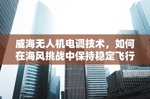 威海无人机电调技术，如何在海风挑战中保持稳定飞行？