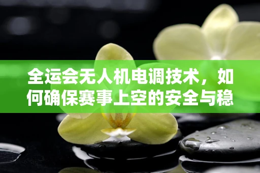 全运会无人机电调技术，如何确保赛事上空的安全与稳定？
