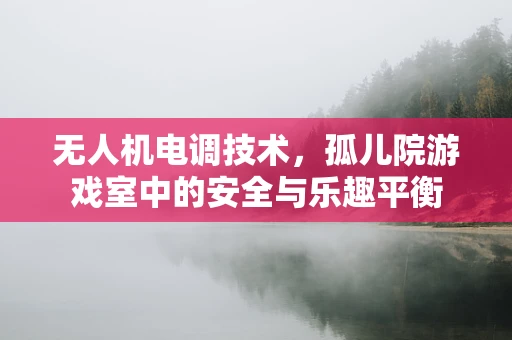 无人机电调技术，孤儿院游戏室中的安全与乐趣平衡