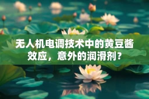 无人机电调技术中的黄豆酱效应，意外的润滑剂？