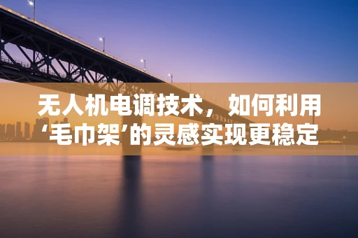 无人机电调技术，如何利用‘毛巾架’的灵感实现更稳定的飞行？