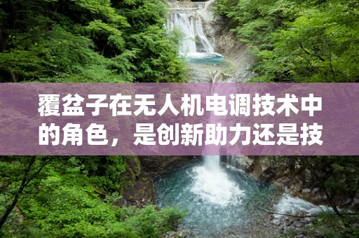 覆盆子在无人机电调技术中的角色，是创新助力还是技术瓶颈？