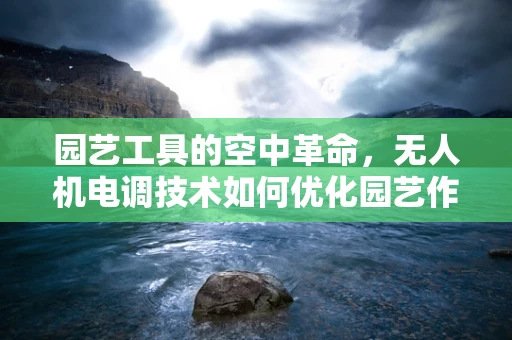 园艺工具的空中革命，无人机电调技术如何优化园艺作业的精准与效率？