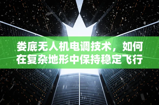 娄底无人机电调技术，如何在复杂地形中保持稳定飞行？