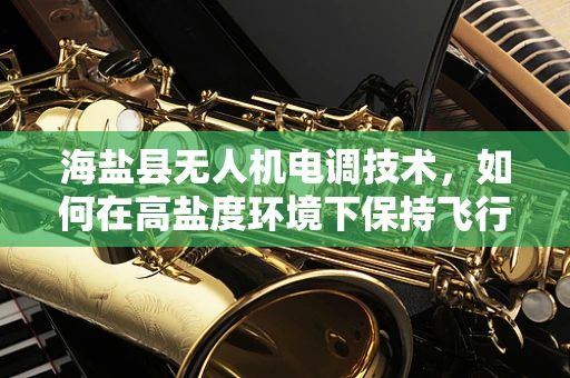 海盐县无人机电调技术，如何在高盐度环境下保持飞行稳定？