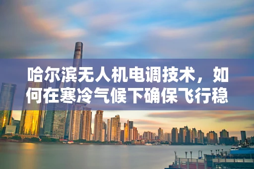 哈尔滨无人机电调技术，如何在寒冷气候下确保飞行稳定性？