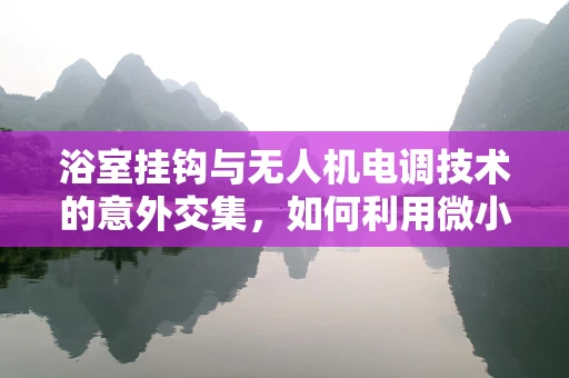 浴室挂钩与无人机电调技术的意外交集，如何利用微小负载实现精准控制？