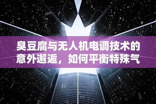 臭豆腐与无人机电调技术的意外邂逅，如何平衡特殊气味对飞行稳定性的影响？