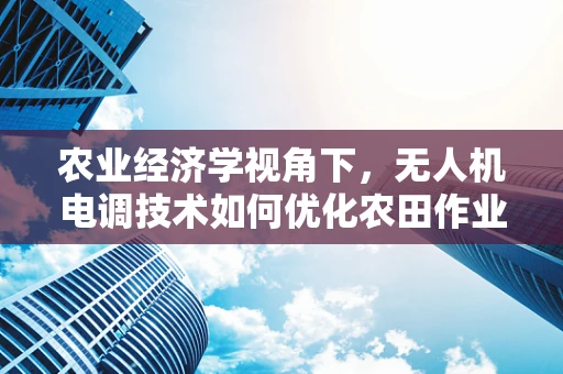 农业经济学视角下，无人机电调技术如何优化农田作业效率？