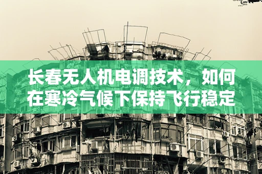 长春无人机电调技术，如何在寒冷气候下保持飞行稳定？