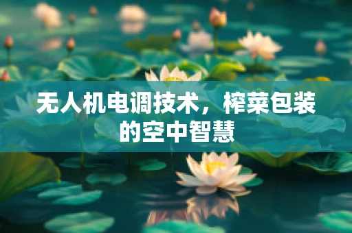 无人机电调技术，榨菜包装的空中智慧