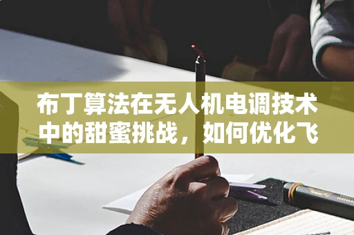 布丁算法在无人机电调技术中的甜蜜挑战，如何优化飞行稳定性？