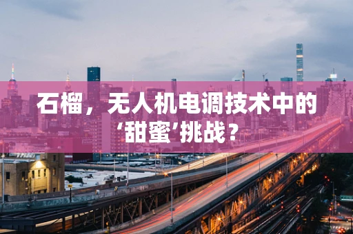 石榴，无人机电调技术中的‘甜蜜’挑战？