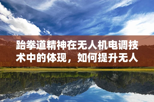跆拳道精神在无人机电调技术中的体现，如何提升无人机敏捷性与稳定性？