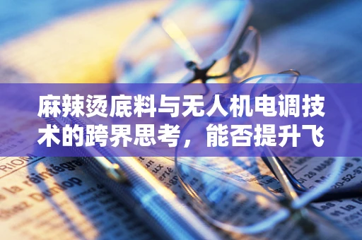 麻辣烫底料与无人机电调技术的跨界思考，能否提升飞行稳定性？