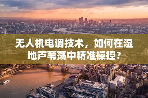无人机电调技术，如何在湿地芦苇荡中精准操控？