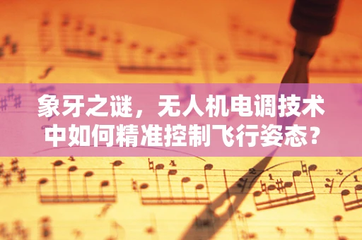 象牙之谜，无人机电调技术中如何精准控制飞行姿态？