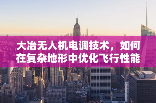 大冶无人机电调技术，如何在复杂地形中优化飞行性能？