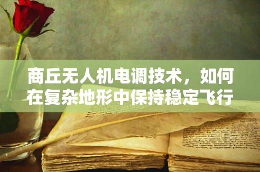 商丘无人机电调技术，如何在复杂地形中保持稳定飞行？