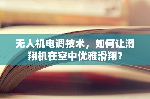 无人机电调技术，如何让滑翔机在空中优雅滑翔？