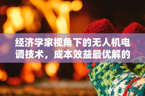 经济学家视角下的无人机电调技术，成本效益最优解的探索