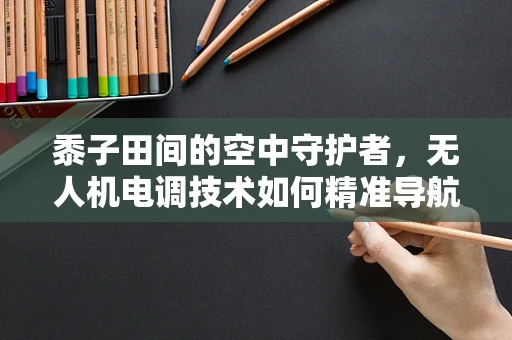 黍子田间的空中守护者，无人机电调技术如何精准导航避障？