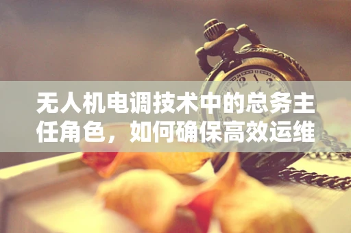 无人机电调技术中的总务主任角色，如何确保高效运维与安全监控？
