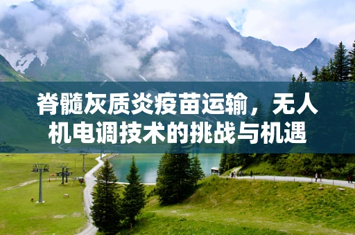 脊髓灰质炎疫苗运输，无人机电调技术的挑战与机遇