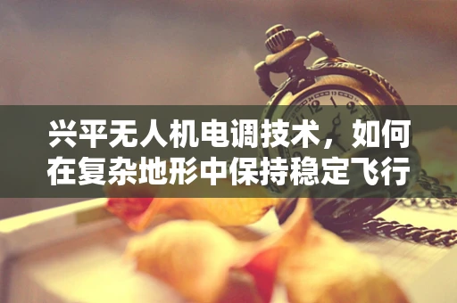 兴平无人机电调技术，如何在复杂地形中保持稳定飞行？