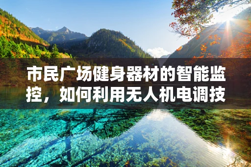 市民广场健身器材的智能监控，如何利用无人机电调技术提升安全与效率？